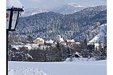 Pensionas Türnitz Austrija