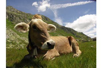 Rakúsko Byt Kaprun, Exteriér