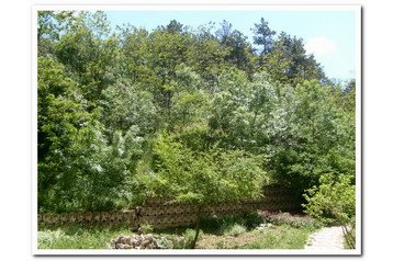 Bulgaaria Privát Varna, Eksterjöör