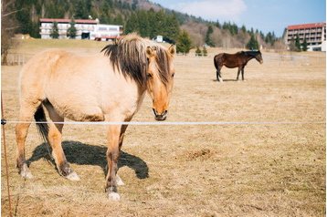 Slovakia Chata Krpáčovo, Eksteriør