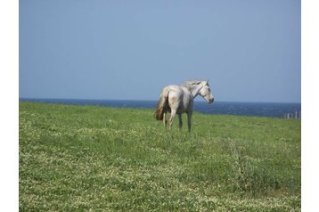 Bulgarija Penzión Tsarevo, Eksterjeras