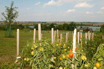 Угорщина Penzión Bük, Екстер'єр