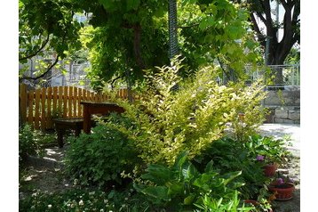 Bulgaria Chata Byala, Eksteriør