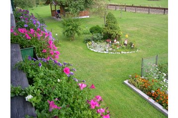 Austria Privát Obertraun, Eksterjöör