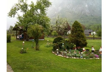 Austria Privát Obertraun, Eksterjöör