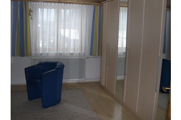 Austria Privát Obertraun, Eksterjöör