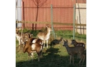 Slovaquie Penzión Liesek, Extérieur