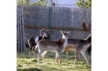 Eslovaquia Penzión Liesek, Exterior