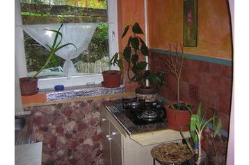 Ungarn Privát Miskolc, Eksteriør