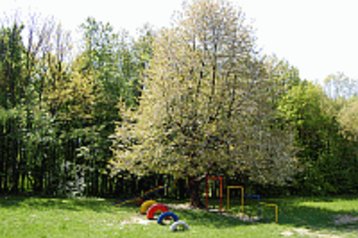 Szlovákia Chata Rohožník, Exteriőr