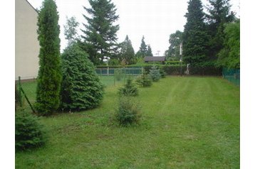 Ungārija Byt Bük, Eksterjers