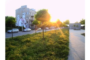 Polija Byt Warszawa, Varšava, Eksterjers