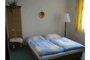 Češka Byt Munice, Interijer