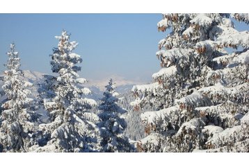 Austrija Byt Kanzelhöhe, Eksterjers