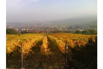 Slovakia Penzión Limbach, Exterior