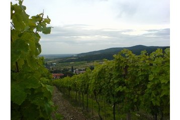 Slovakia Penzión Limbach, Exterior