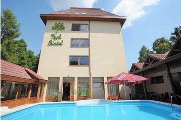 Viešbutis Gyula 2