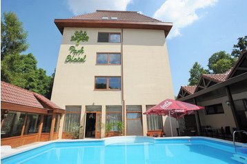 Угорщина Hotel Gyula, Екстер'єр