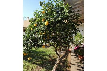 Apartament Buljarica 2