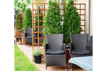 Польша Byt Mazury, Экстерьер