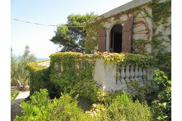 Apartma Vieste 1