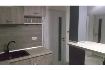 Словакия Byt Kamenec, Экстерьер