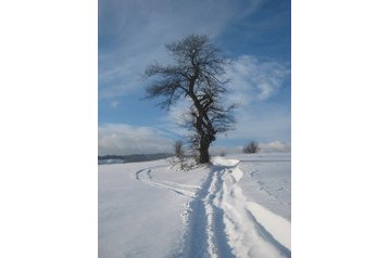 Slovensko Chata Oščadnica, Exteriér