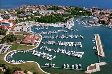 Suite Novigrad 2