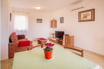 Horvaatia Privát Salatić, Eksterjöör