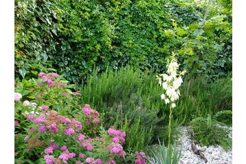 Kroatia Byt Valun, Eksteriør