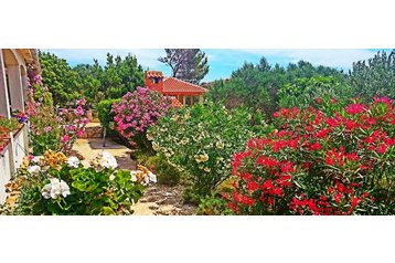 Horvaatia Privát Povljana, Eksterjöör