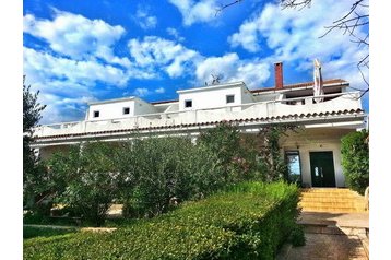 Horvaatia Privát Povljana, Eksterjöör