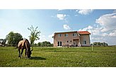 Pensiune Bilje Croaţia