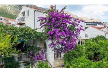 Chorvatsko Privát Mokošica, Exteriér