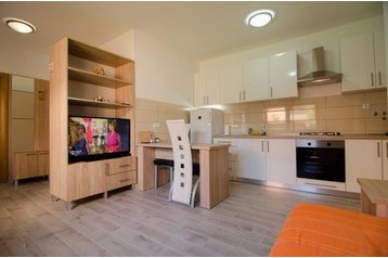 Kroatia Privát Županja, Eksteriør