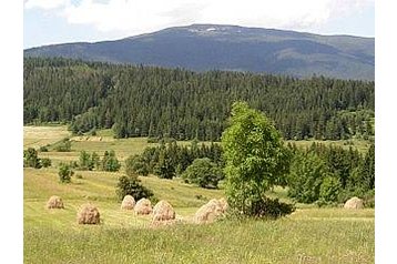 Slovākija Byt Rabčice, Eksterjers