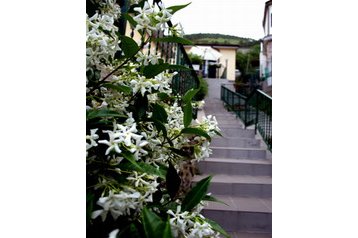 Hotel Riomaggiore 2