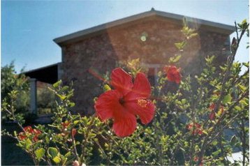 Italien Byt Budoni, Exterieur