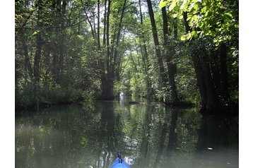 Polska Chata Bobowicko, Zewnątrz