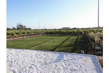 Olaszország Byt Marsala, Exteriőr