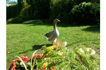 Lettonia Chata Ozolnieki, Esterno