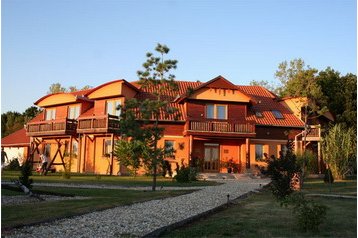 Угорщина Byt Hajdúszoboszló, Екстер'єр