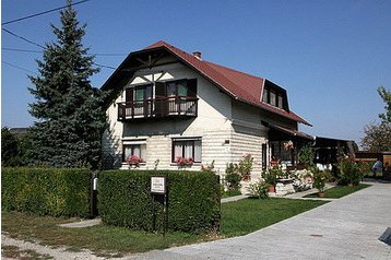 Ungari Privát Lipót, Eksterjöör