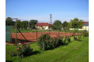 Ungarn Privát Lipót, Eksteriør