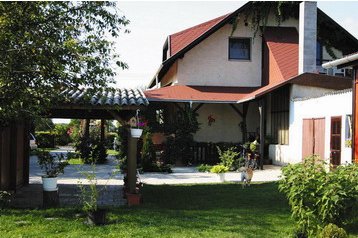 Ungarn Privát Lipót, Eksteriør