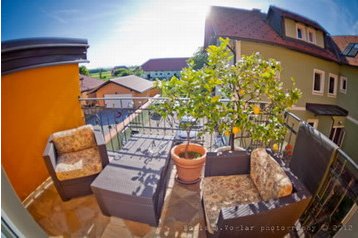 Hotel Ptuj 2