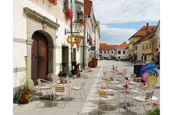 Viesnīca Radovljica 3