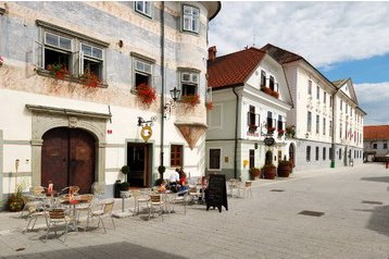 Отель Radovljica 2