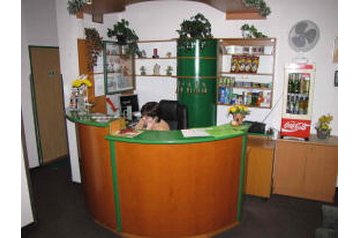 Чехия Hotel Poděbrady, Екстериор