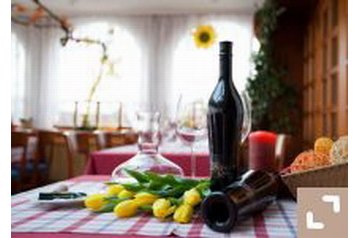 Готель Lesce 1